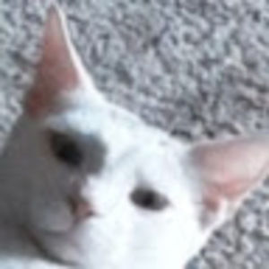 Meet your Posher, Juliette